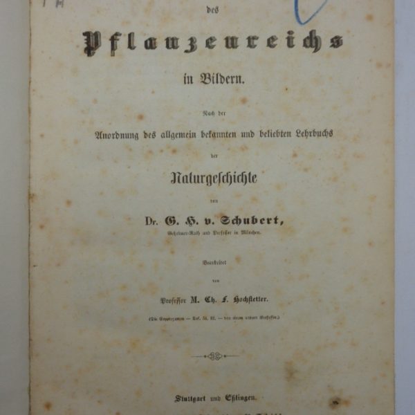NATURGESCHICHTE DES PFLANZENREICHS IN BILDERN, Nach der Anordnung des allgemein bekannten und beliebten Lehrbuchs der Naturgeschichte.