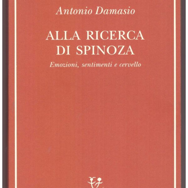 Alla ricerca di Spinoza. Emozioni, sentimenti
