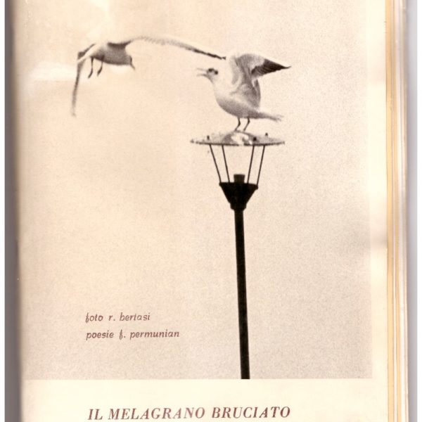 IL MELAGRANO BRUCIATO. Foto R. Bertasi. Poesie F. Permunian.