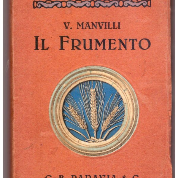 IL FRUMENTO.